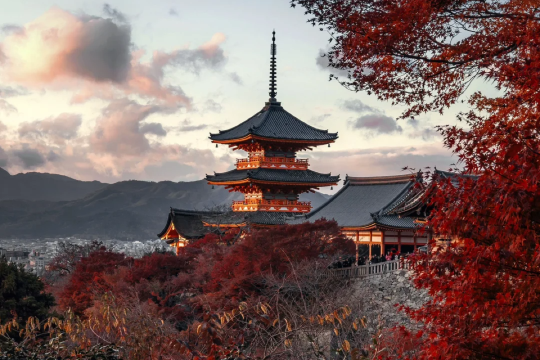 Japan + Kyoto Osaka Kiyomizu Temple Day Trip