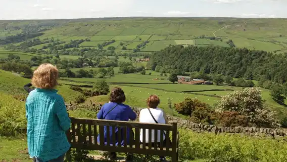 ทัวร์วันเดียว/ทัวร์หลายวัน อุทยานแห่งชาติ North York Moors เมืองยอร์ก สหราชอาณาจักร
