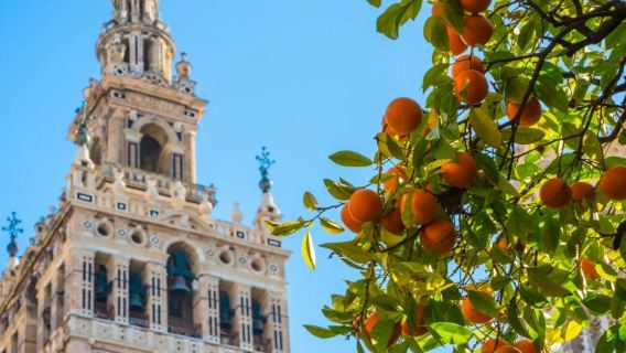 พระราชวัง Alcázar แห่งเซบียา อาสนวิหาร และหอระฆัง Giralda: เข้าชม + ทัวร์พร้อมไกด์