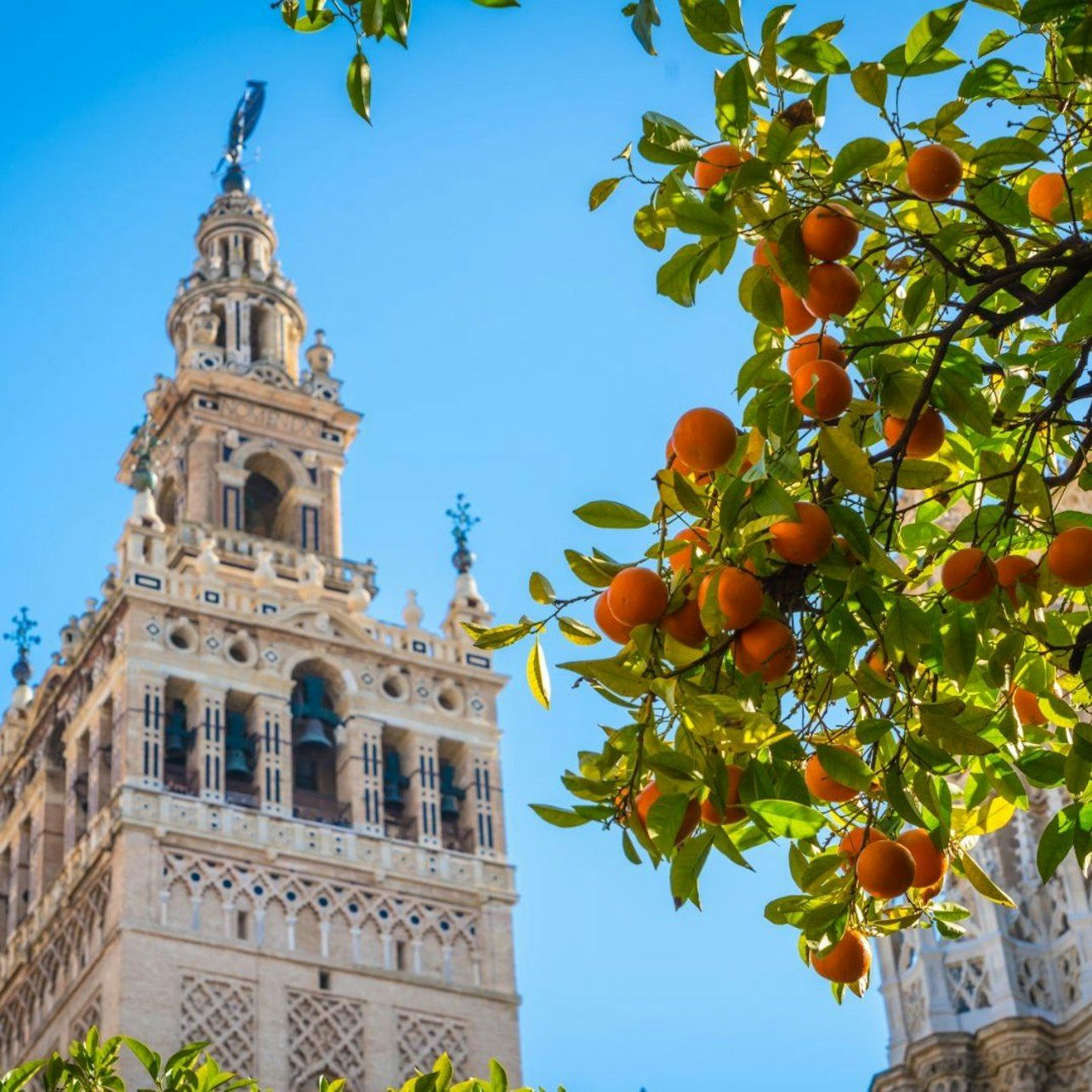 Royal Alcázar of Seville, Cathedral & Giralda: Entry + Guided Tour