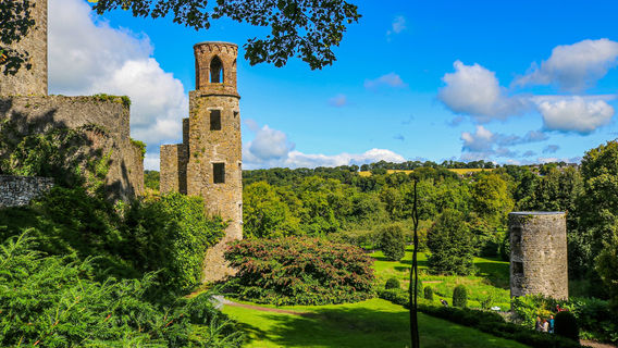 CorkTours