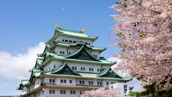 中津川市日遊