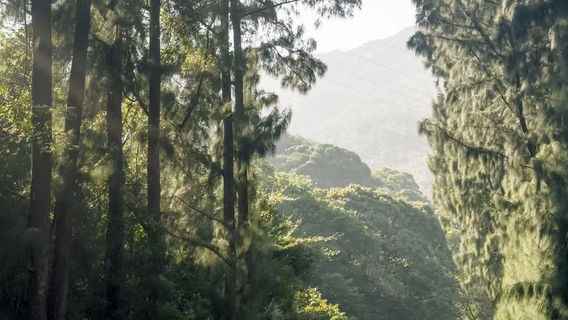 南澳日遊