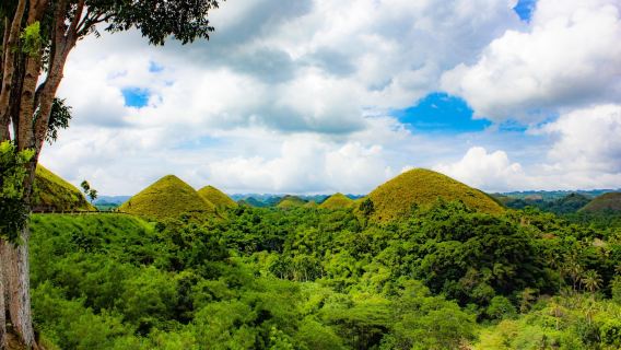 Excursion d'une journée à Bohol au départ de Cebu avec croisière sur la rivière Loboc et déjeuner buffet