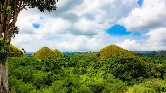 Tour giornaliero di Bohol da Cebu con crociera sul fiume Loboc e pranzo a buffet