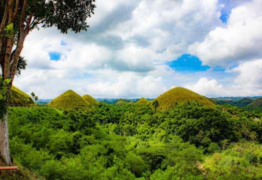 Bohol One Day Tour from Cebu with Loboc River Cruise with Lunch Buffet