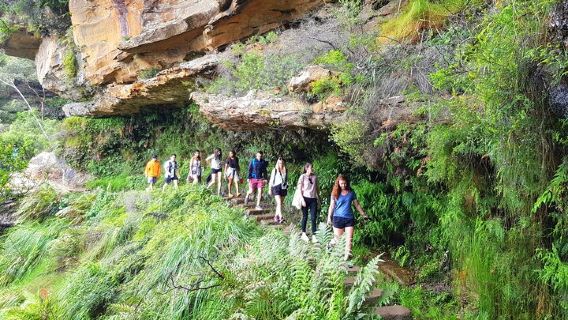 SydneyTours