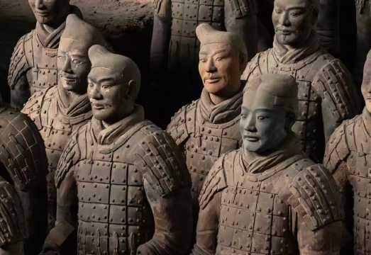 1-day tour to Shaanxi History Museum and Emperor Qinshihuang's Mausoleum Site Museum - Chinese and English service available