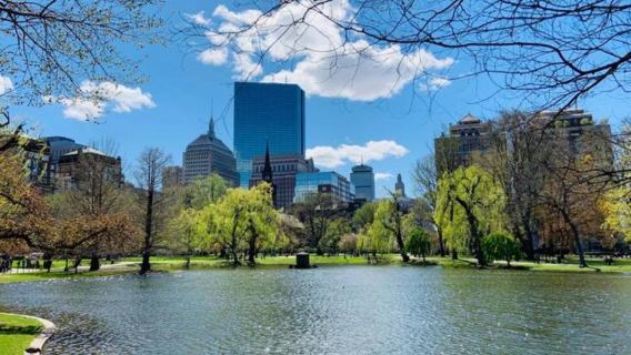 美國哈佛大學+麻省理工大學一日遊/行程可調-可定制多日