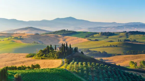 Pienza & Montepulciano: Day Trip from Florence + Montalcino Wine Tasting
