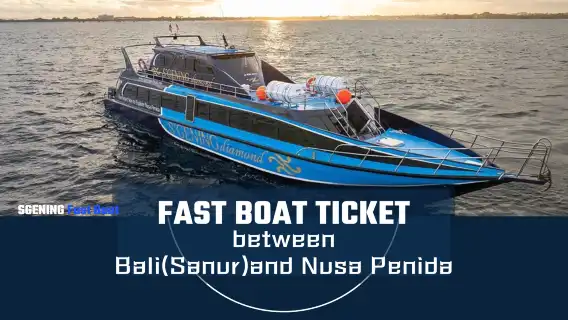 快艇船票 峇里島(薩努爾)-佩妮達島【單程或來回】