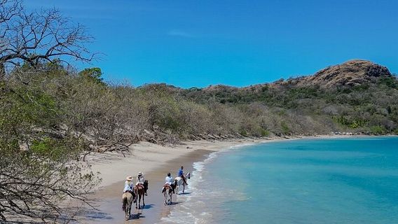 Playa FlamingoTours