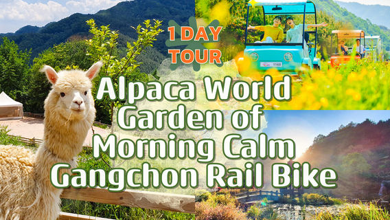 ChungjuTours