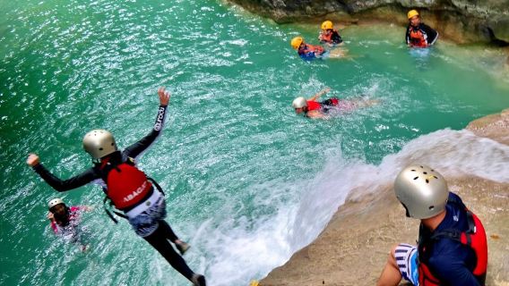 1-day tour to Oslob whale sharks + Kawasan Falls canyoneering in Cebu, Philippines