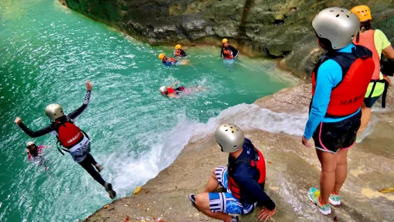 Excursion d'une journée pour nager avec les requins-baleines à Oslob et explorer les cascades de Kawasan à Cebu, Philippines