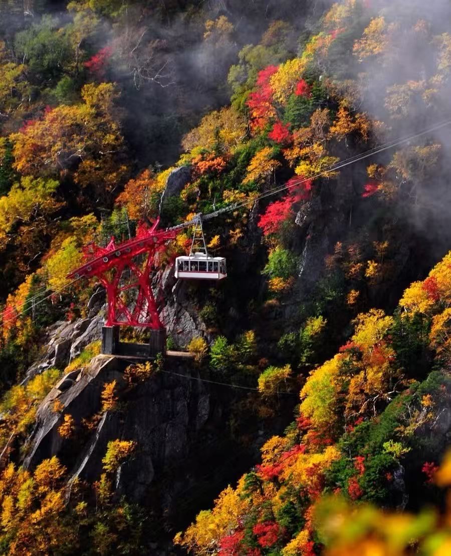 日本長野千疊敷冰斗+寶劍岳【秋季限定徒步/中文私家包車】