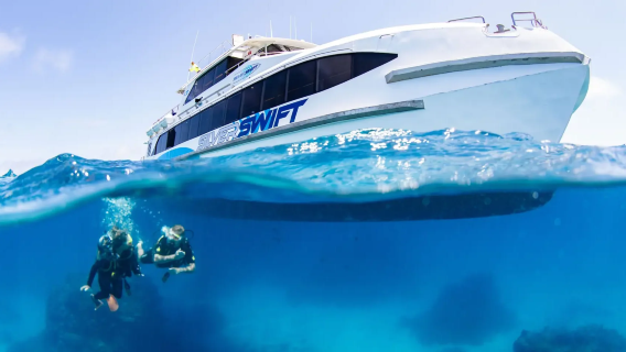 Croisière d'une journée sur la Grande Barrière de corail à Cairns Silverswift (avec plongée en apnée)