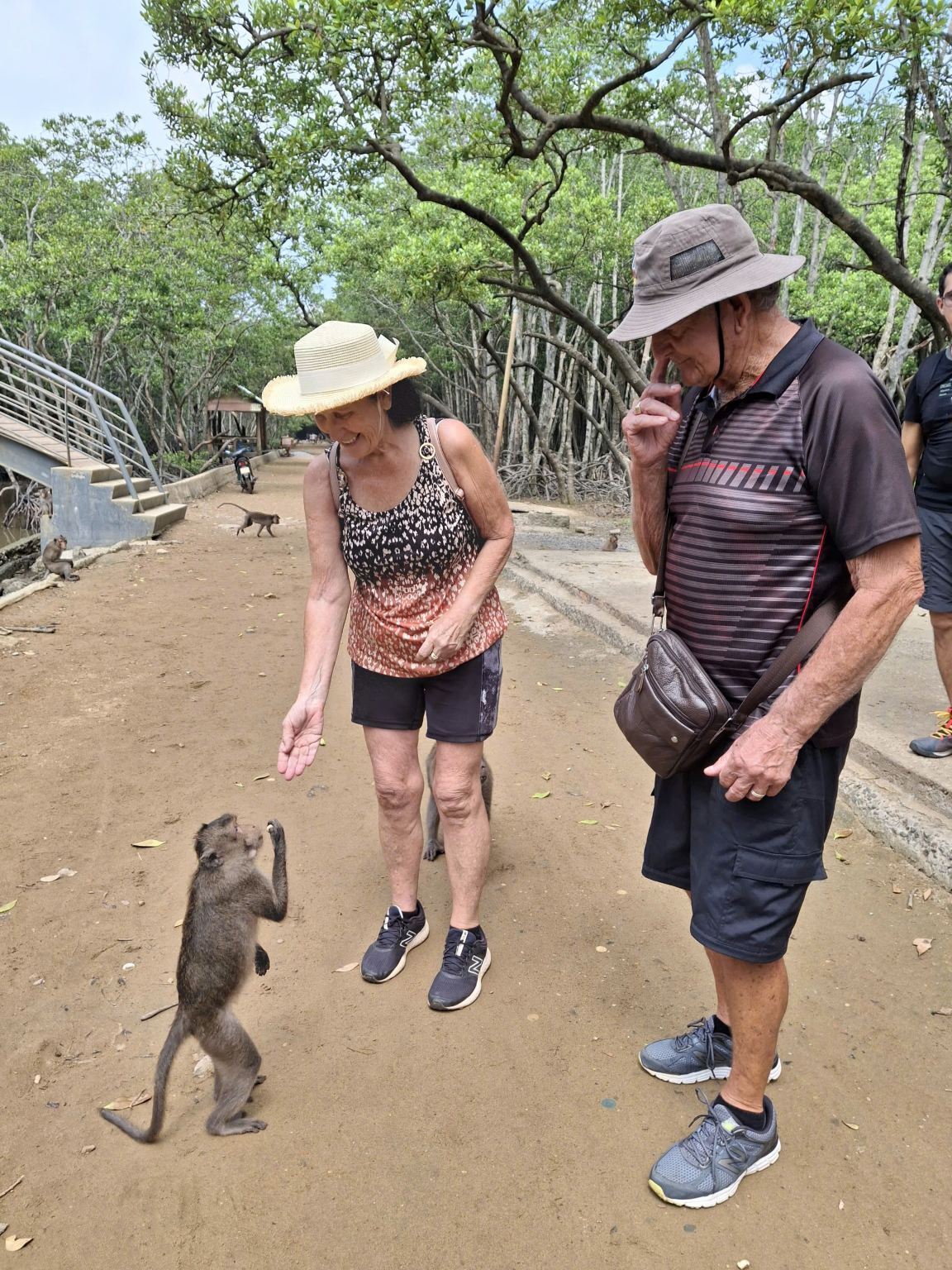 1-day tour|Can Gio: Exploring Monkey Island and Mangrove Forest|Depart From Ho Chi Minh City