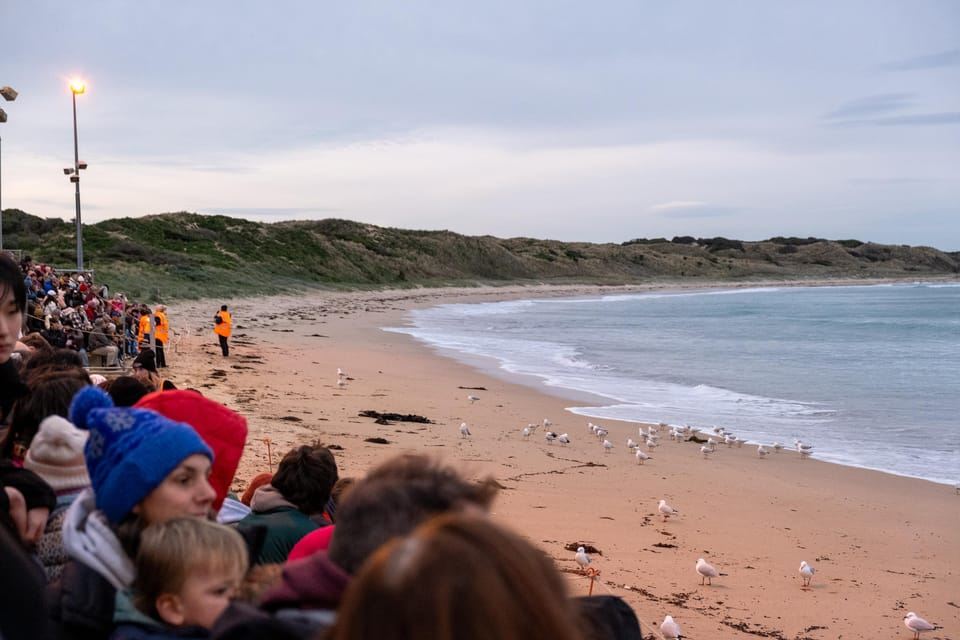 From Melbourne: Phillip Island and Penguin Parade Day Tour