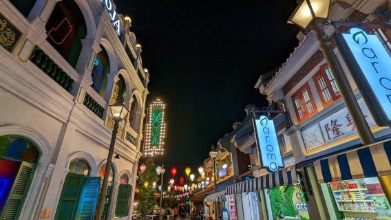 Jakarta: Private Guided Sightseeing & Street Food Night Tour