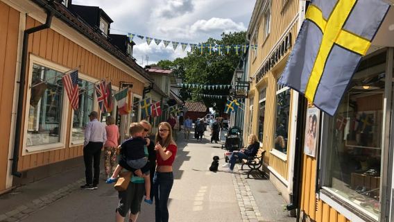 Uppsala city and Sigtuna city 8h tour from Stockholm