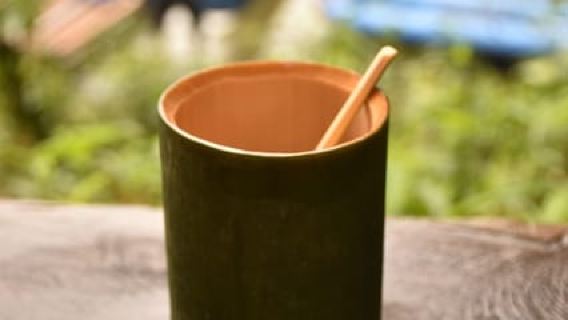 Paquete de alojamiento de una noche en el Treehouse Resort con actividades.