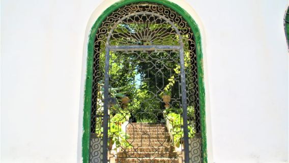 Granada: Visita guiada por los jardines del Carmen