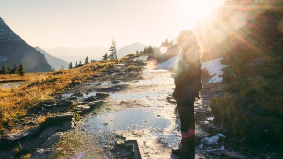 Whitefish: Private East Glacier & Two Medicine Driving Tour