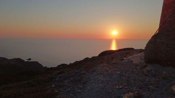 Stintino: sunset hike at Capo Falcone with tasting