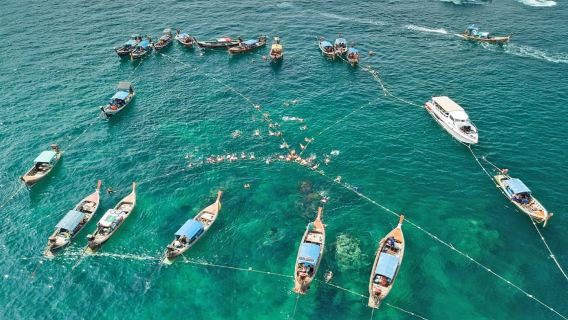 Полный день на острове Ко Липе (7 баллов) сноркелинга с обедом