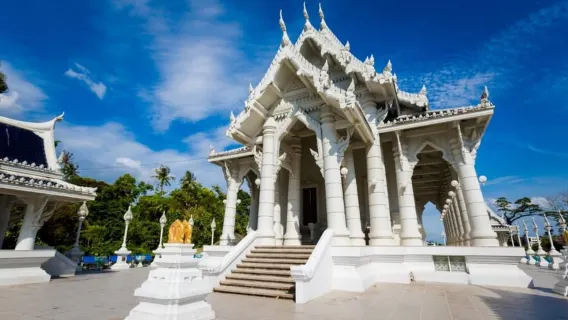 Krabi: Emerald Pool, Hot Springs & Krabi Town Day Tour