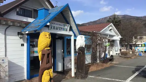 Direct one-way express bus ticket: Tokyo to Kawaguchiko