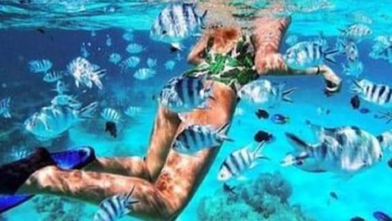 Zanzibar: Tur Snorkeling dan Berlayar Terumbu Karang Kiwengwa
