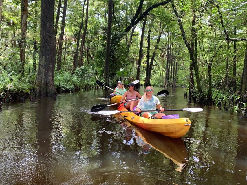Jupiter: Wild and Scenic Loxahatchee River Kayak Tour
