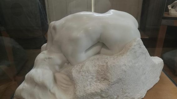 Paris: Musée Rodin A Private Tour - an artist's insight