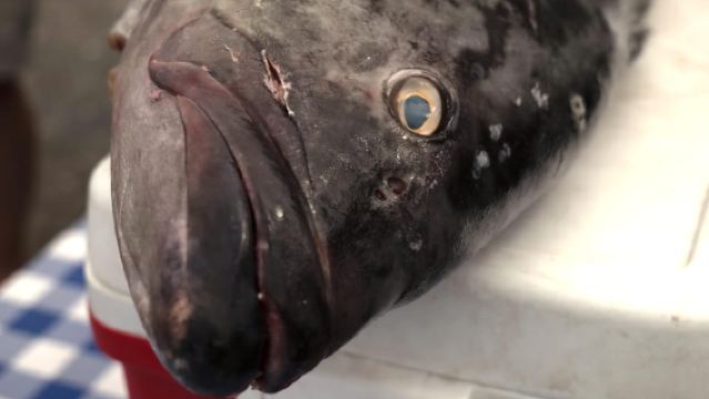 Charleston: Shem Creek Culture Tour