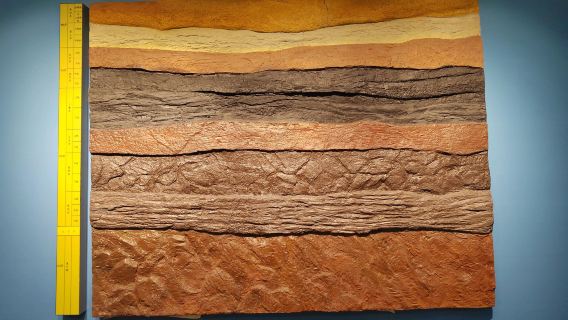 однодневный тур по древнему городу Датун, международному горному парку Цзиньхуагонг и мемориалу жертв угольной шахты с услугами на китайском и английском языках