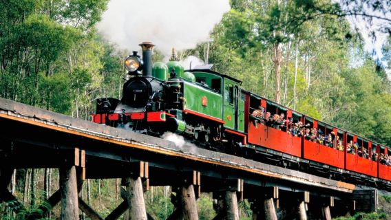 Excursion d'une journée en train à vapeur Puffing Billy à Melbourne et sur l'île aux Pingouins (Offre spéciale - Spécial Fête nationale)