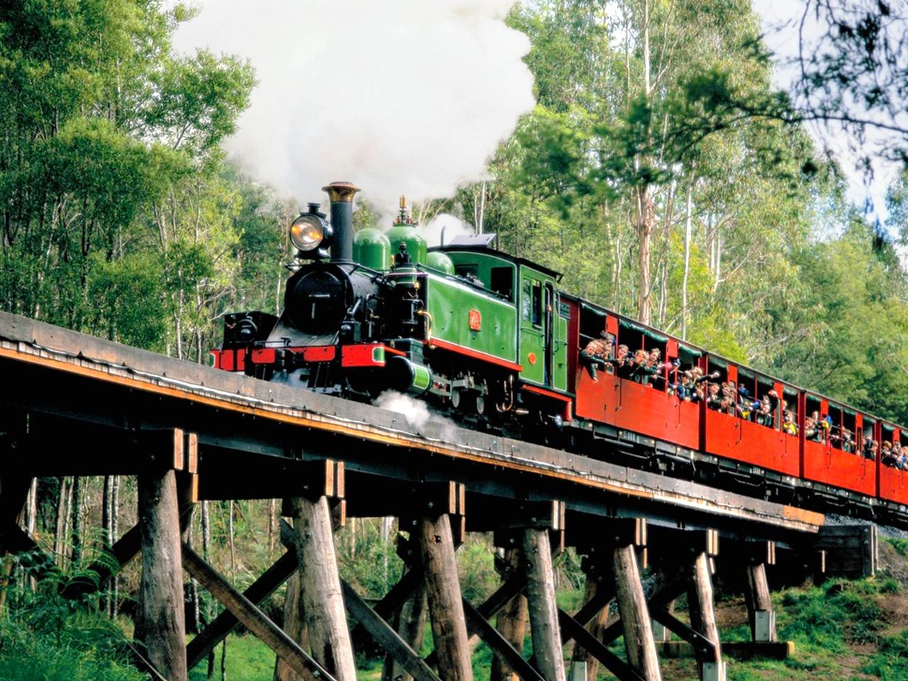 [Special Price 11-14] Melbourne Puffing Billy Steam Train + Phillip Island Day Trip