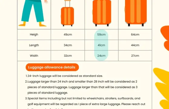 芽莊私人包車服務前往大叻、美奈及Doc Let