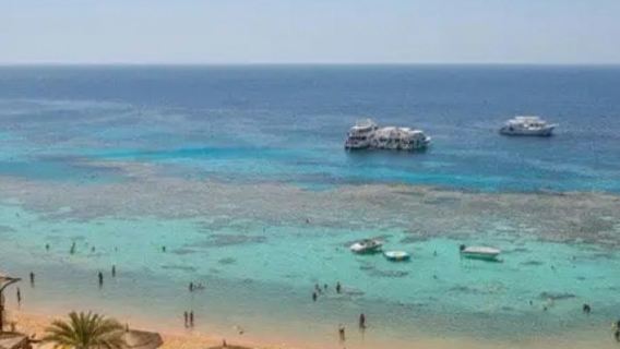 Sharm El Naga Nationalpark: Geführte Tagestour ab Hurghada + Schnorcheln + Mittagessen