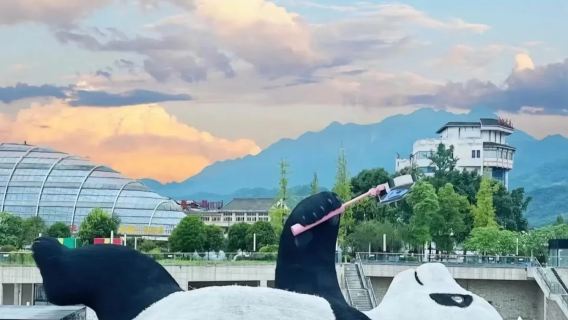 成都出發三星堆+熊貓基地+寬窄巷子包車一日遊