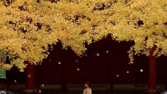 Salida desde Chengdu: Excursión de un día a Chongzhou (Estanque Yanhua) y Dayi (Antiguo pueblo de Xinchang) con servicio de coche privado con conductor|Delicioso, entretenido y hermoso