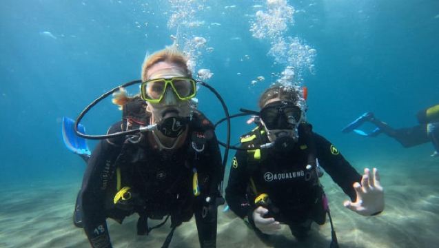 Tenerife south: Scuba Dive for beginners in Adeje