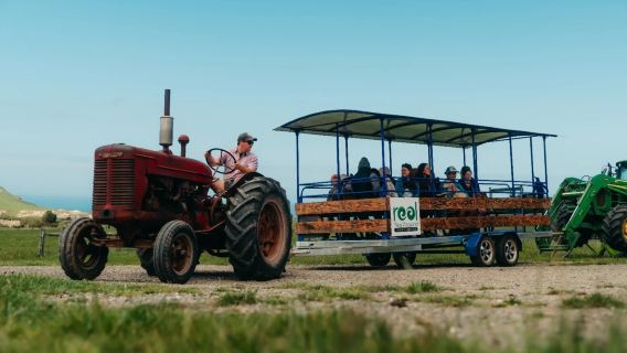 ニュージーランド南島クライストチャーチ体験農場ワンデーツアー【ワイン試飲+昼食付き|英語ガイド】