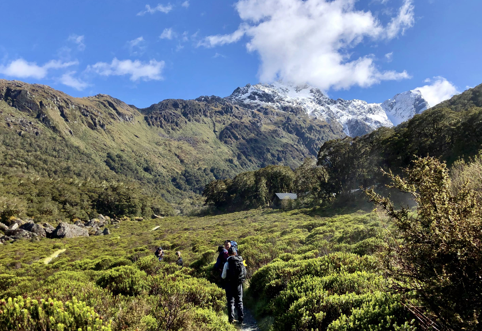 新西蘭皇后鎮-但尼丁-奧馬魯-可定制【中文專車-愜意舒適】