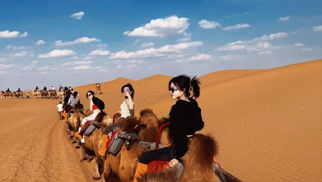 純玩·騰格裡沙漠+沙坡頭+66號公路一日遊