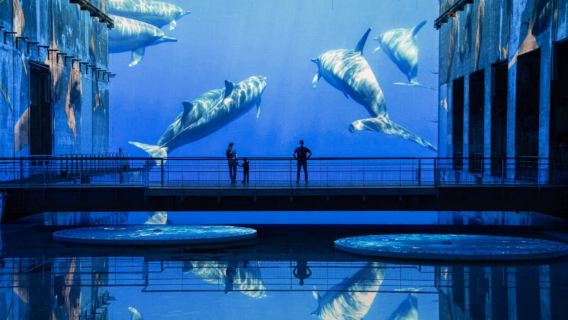 Entrance Ticket for Les Bassins des Lumières Art Center in Bordeaux