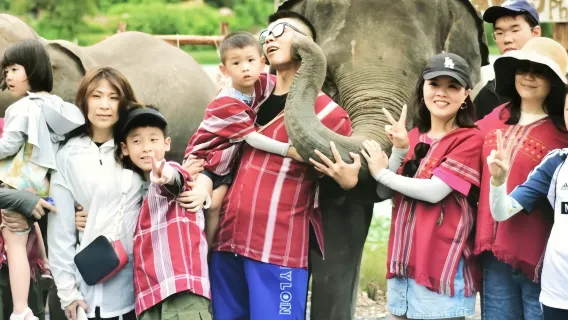Featured tour with 15 reviews: KERCHOR Elephant Eco Park Tour in CHIANG MAI