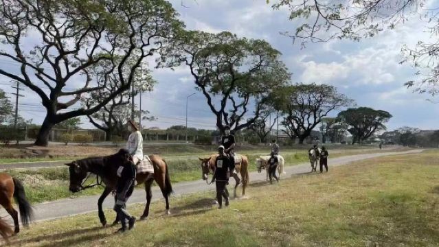 Clark Glider + Horseback Riding + Shooting Range Day Tour